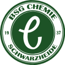 schwarzheide-chemie