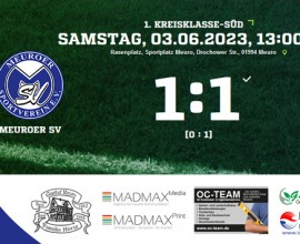 msv-gut-1-1